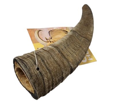 Advance Pet Product Goat Horn With Natural Marrow, 7907