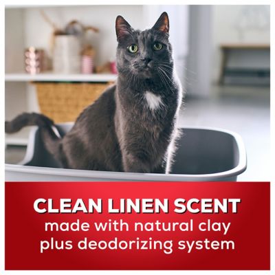 Image showing 9 th Purina Tidy Cats Scoop 24/7 Performance Continuous Odor Control for Multiple Cats Cat Litter