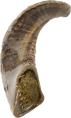 Advance Pet Product Advance Wellness Goat Horn with Hemp and Yak Cheese, 1 pc.