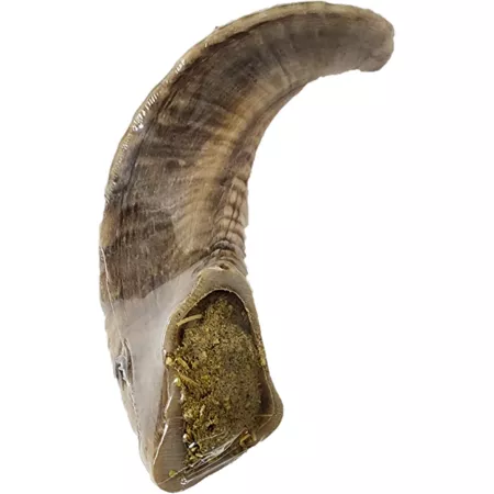 Advance Pet Product Advance Wellness Goat Horn with Hemp and Yak Cheese 1 pc. Dog Bones Rawhide & Rawhide Alternative