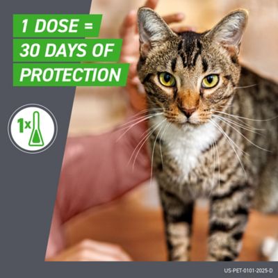 Image showing 5 th Frontline Plus Flea and Tick Topical Treatment for Cats of All Weights, 3 ct.
