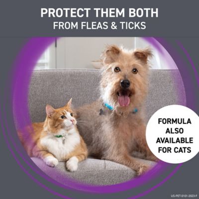 Image showing 7 th Frontline Plus Flea and Tick Topical Treatment for Dogs 45-88 lb., 3 ct.