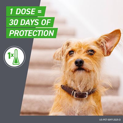 Image showing  Flea and Tick Topical Treatment for Dogs Up to 22 lb., 3 ct.