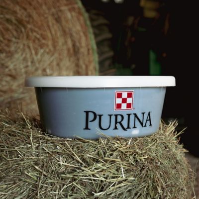 Image showing  30 Protein Hi-Energy Cattle Supplement, 55 lb. Tub