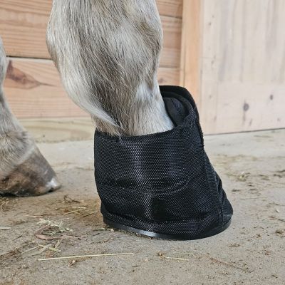 Image showing  Recover Therapy Hoof Boot