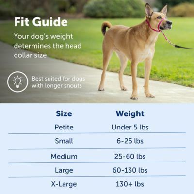 Image showing  Gentle Leader Quick-Release Dog Headcollar