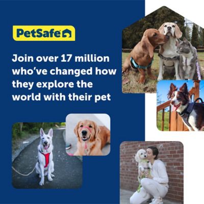 Image showing 5 th PetSafe Gentle Leader Quick-Release Dog Headcollar