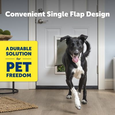 Image showing  Plastic Pet Door