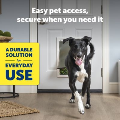 Image showing  Plastic Pet Door