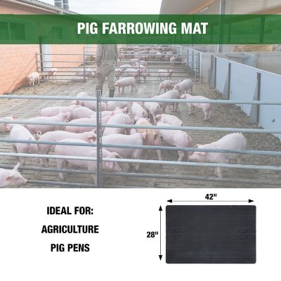 Image showing 6 th Boomerang Rubber Inc. Rubber Pig Creep Farrowing Mat with No Lip