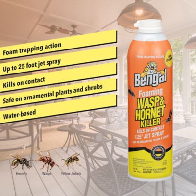 Image showing  Foaming Wasp & Hornet Spray Twin Pack