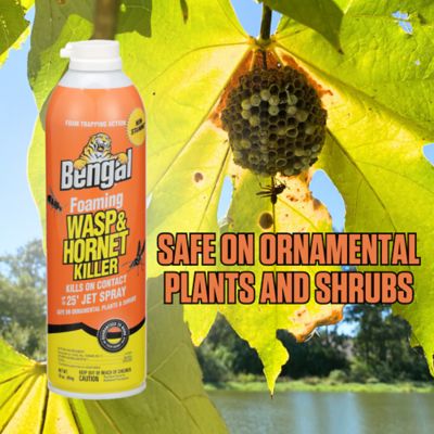 Image showing  Foaming Wasp & Hornet Spray Twin Pack