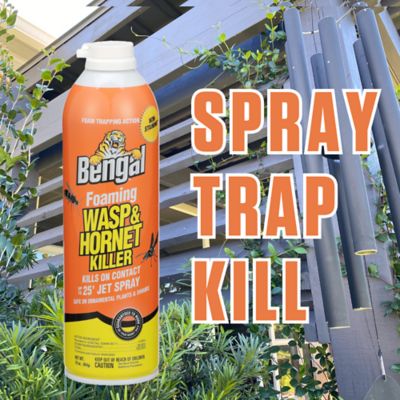 Image showing  Foaming Wasp & Hornet Spray Twin Pack