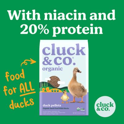 Image showing  Organic Pelleted Duck Feed