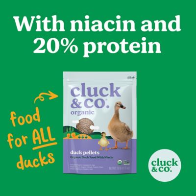 Image showing  Organic Pelleted Duck Feed