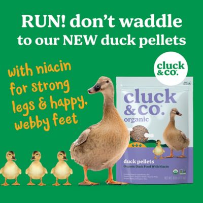 Image showing  Organic Pelleted Duck Feed