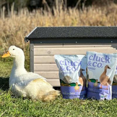 Image showing  Organic Pelleted Duck Feed