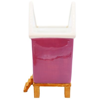 Image showing  Ceramic Chicken Coop Decor, Large