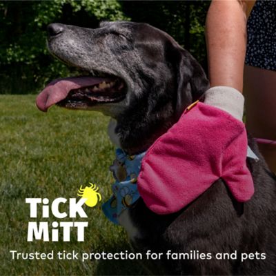 Image showing  Chemical Free Tick Removal Tool for People and Pets, Pink