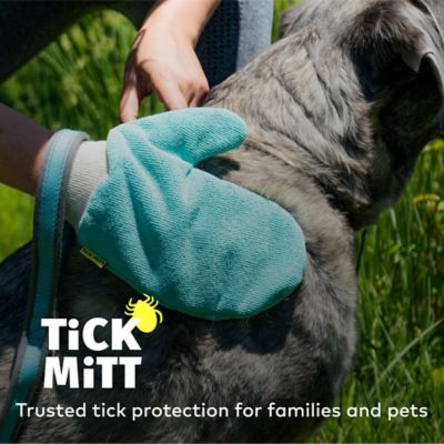 Image showing  Chemical Free Tick Removal Tool for People and Pets, Blue