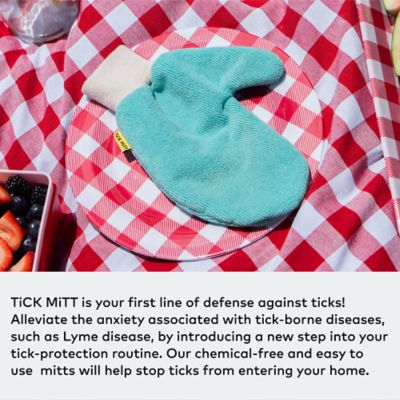 Image showing  Chemical Free Tick Removal Tool for People and Pets, Blue
