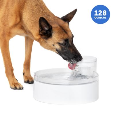 PetSafe Outlast Pumpless Plastic Pet Water Fountain, Water Filter Included