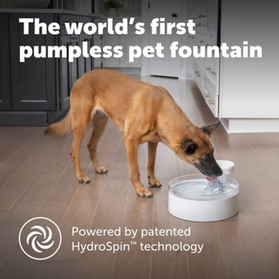 Image showing  Outlast Pumpless Plastic Pet Water Fountain, Water Filter Included PWW00-17959