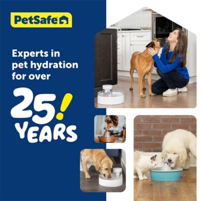 Image showing 6 th PetSafe Outlast Pumpless Plastic Pet Water Fountain, Water Filter Included PWW00-17959