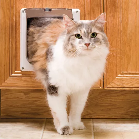 PetSafe 2-Way Locking Indoor Cat Door Pet Doors & Parts