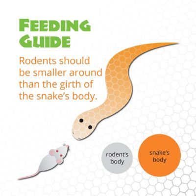 Image showing 3 th Mack's Natural Reptile Food Pinkie Mice Frozen Reptile Food