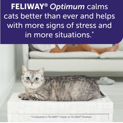 Image showing 5 th Feliway Optimum Cat Kit Diffuser, and Refill 48 ml
