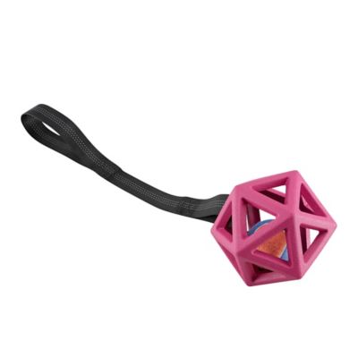 Image showing 6 th Retriever Geo Cage Tug Toy