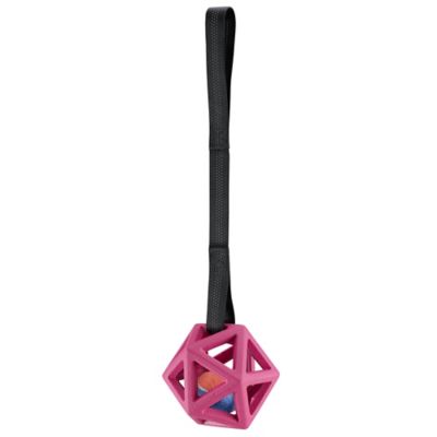 Image showing 9 th Retriever Geo Cage Tug Toy