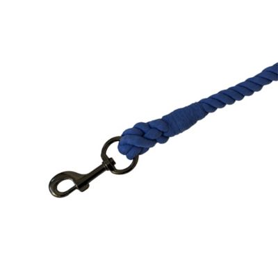 Image showing  Rope Horse Lead, Blue