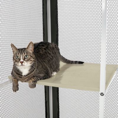 Image showing  Cat Patio