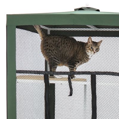 Image showing  Cat Patio