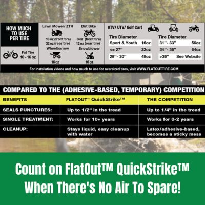 Image showing 5 th MULTI SEAL FlatOut QuickStrike Off-Road Formula, 2-Pack
