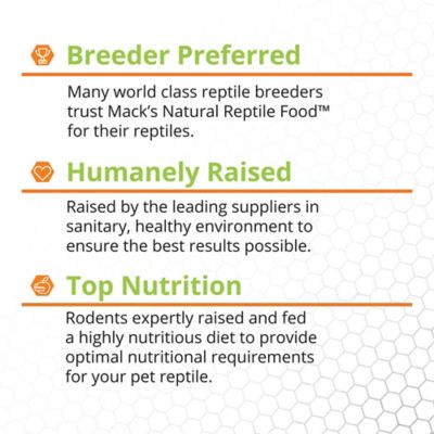 Image showing 4 th Mack's Natural Reptile Food Hopper Mice Frozen Reptile Food