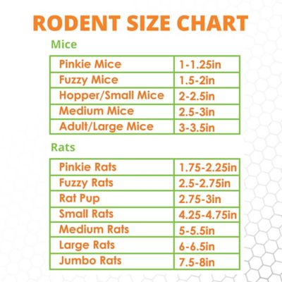 Image showing 5 th Mack's Natural Reptile Food Adult Mice Frozen Reptile Food