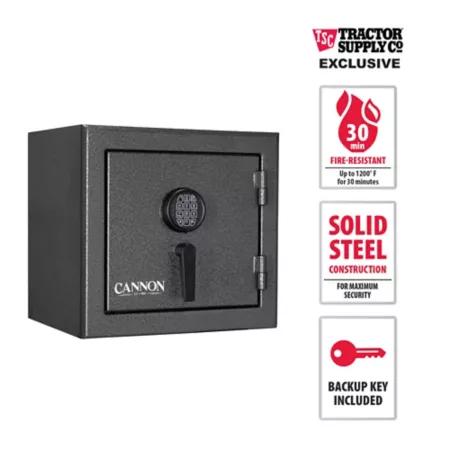 Cannon 30 Minute Fire Resistant Home Safe TS1819 - DGPHEB - 24 Home Safes