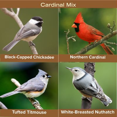 Image showing  Cardinal Mix, 6 lb.