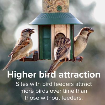 Image showing  Neat Feast 8 lb.