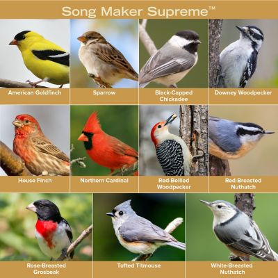 Image showing  Song Maker, Supreme, 20 lb.