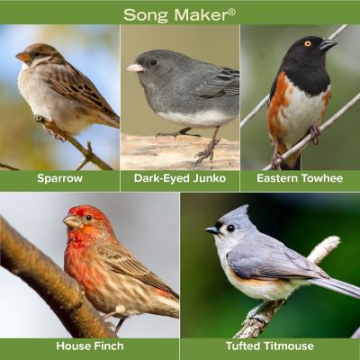 Image showing  Song Maker, 40 lb.