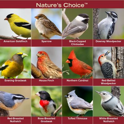 Image showing  Natures Choice, 20 lb.