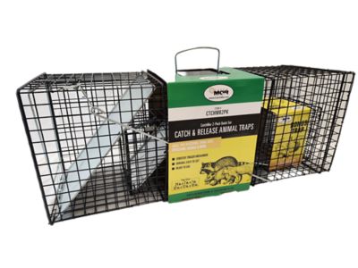 CatchMor Live Animal Trap, 2-Pack