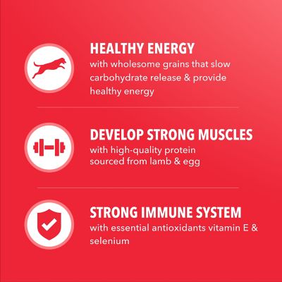 Image showing 5 th Iams ProActive Health MiniChunks Adult Lamb and Rice Recipe Dry Dog Food