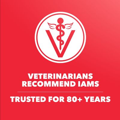 Image showing 6 th Iams ProActive Health MiniChunks Adult Lamb and Rice Recipe Dry Dog Food