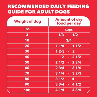 Image showing 7 th Iams ProActive Health MiniChunks Adult Lamb and Rice Recipe Dry Dog Food