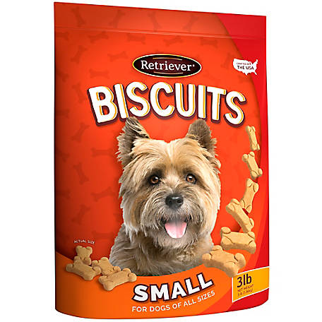 Retriever Small Plain Dog Biscuit, Dog Area Rug 3 215 500